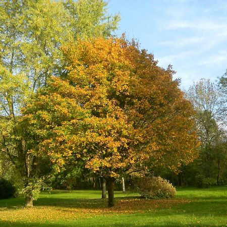 Le Grand Pre Bed & Breakfast Daillancourt Luaran gambar