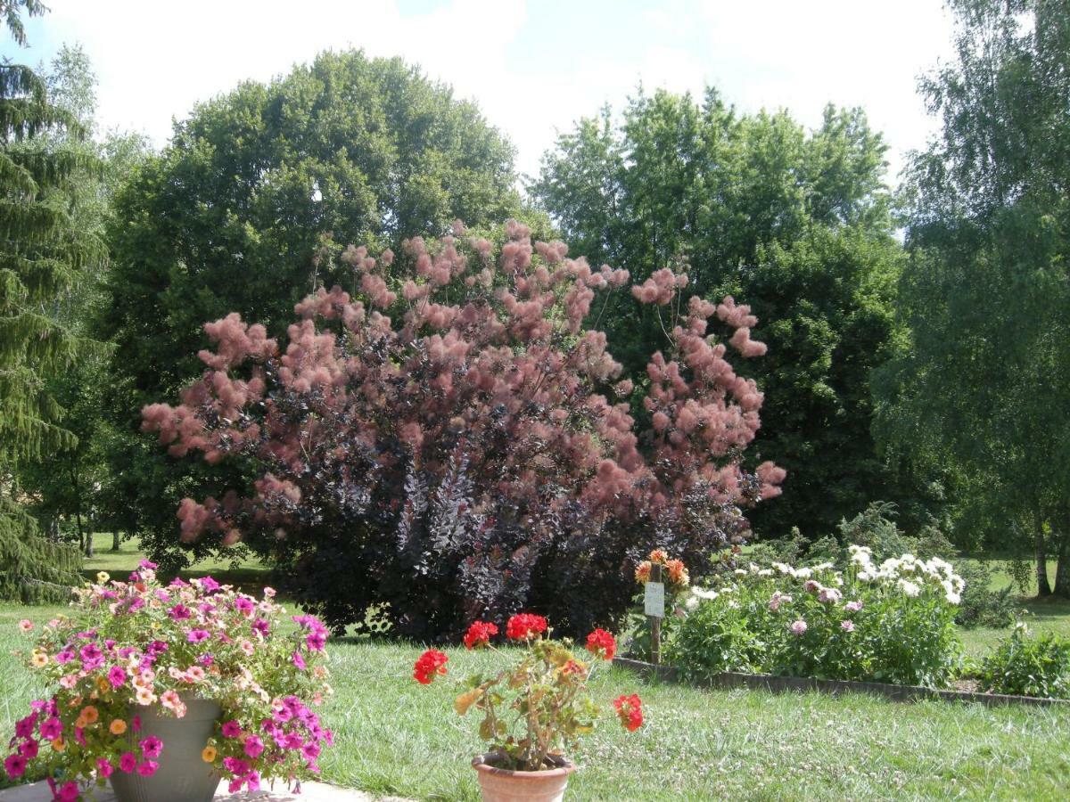 Le Grand Pre Bed & Breakfast Daillancourt Luaran gambar